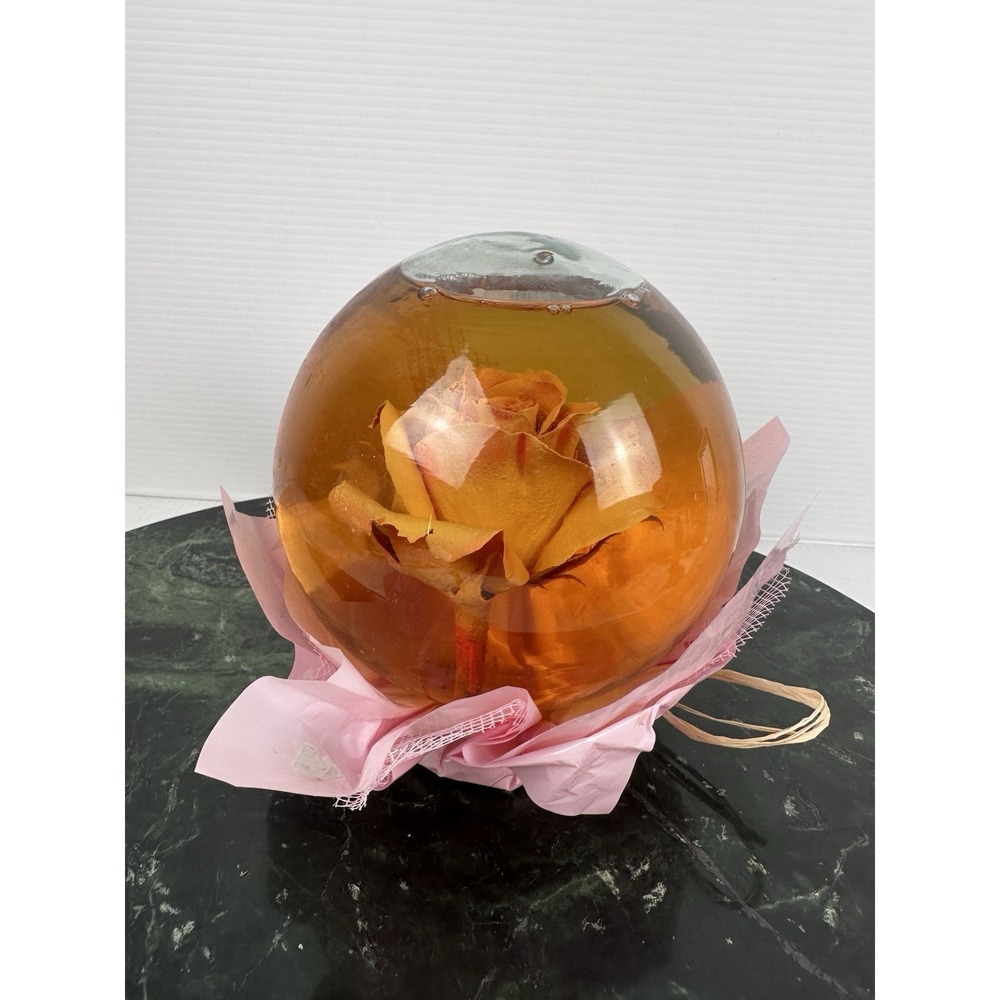 Preserved Real Rose Glass Dome Water Globe Floral Display Home Decor